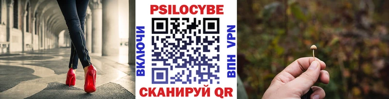 Псилоцибиновые грибы мухоморы  mega маркетплейс  Минусинск  закладки 