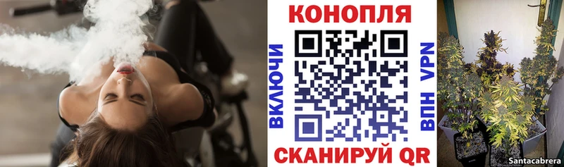 закладка Минусинск Конопля план